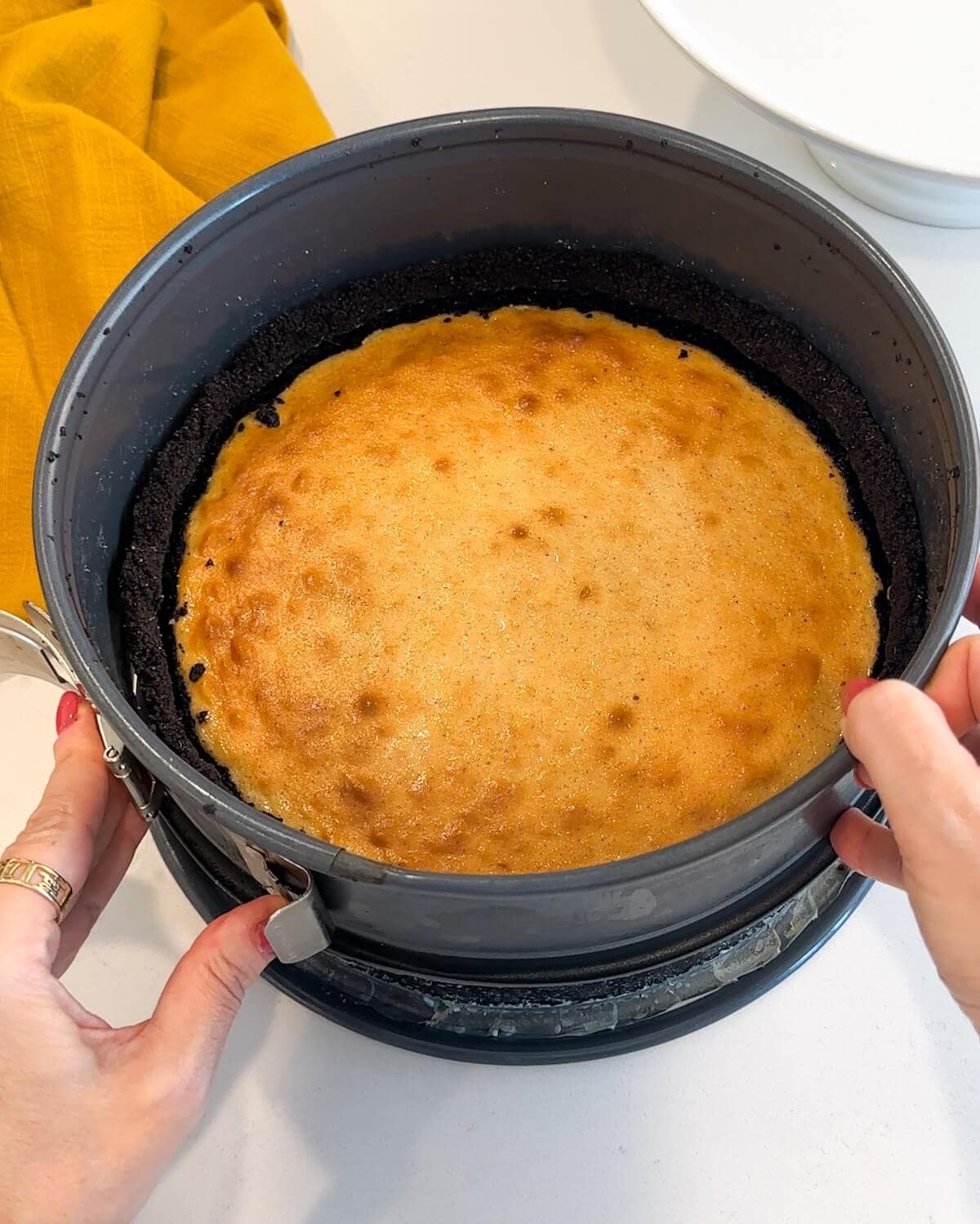 Cooked ginger cheesecake in a springform pan.