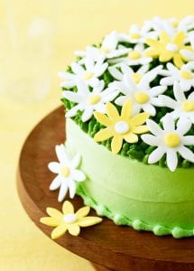 Spring Daisy Cake close up on yellow background