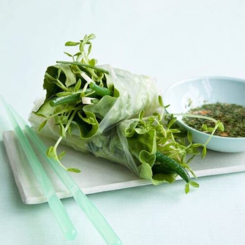 Veggie Spring Rolls with sweet and sour mint sauce