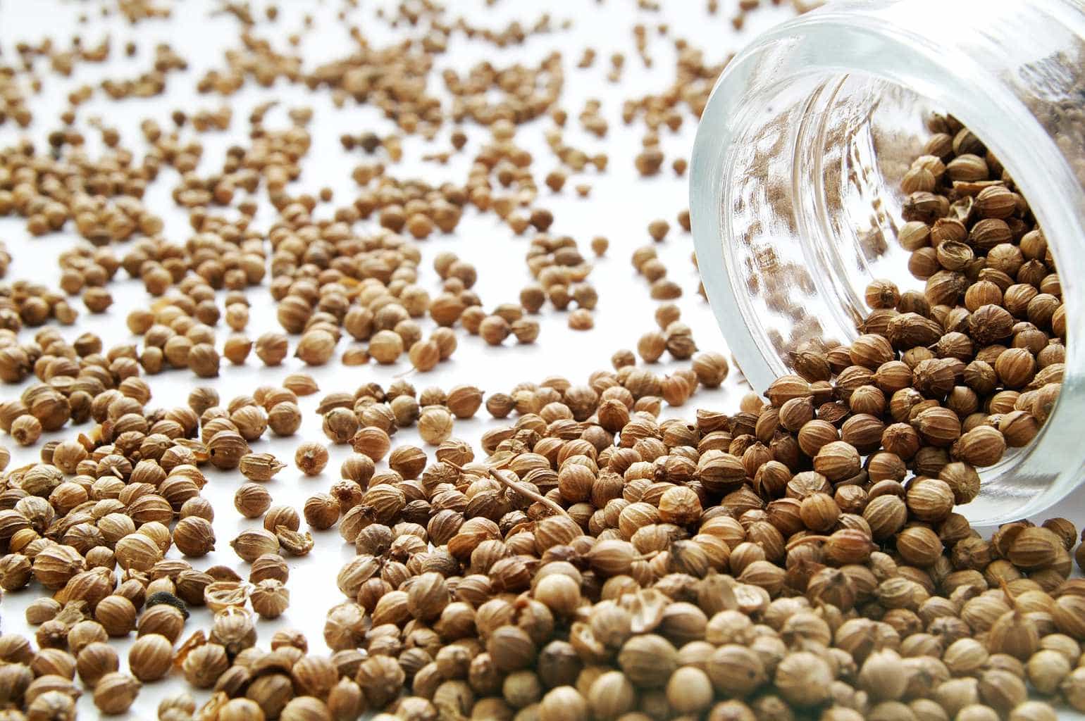 Coriander spilling out of jar