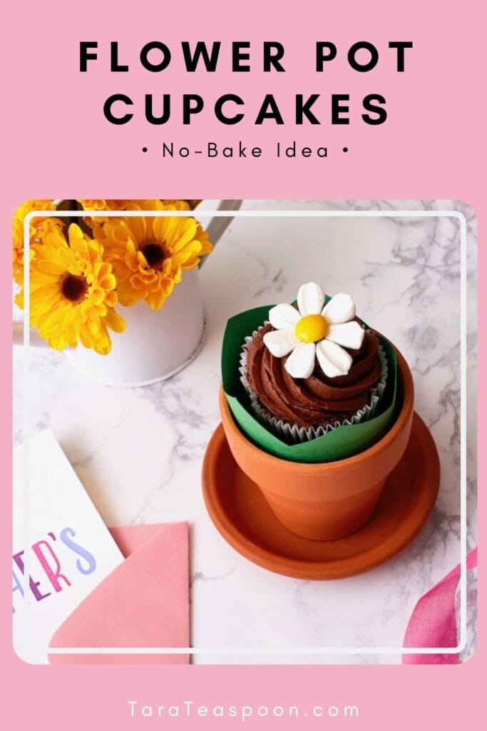 Flowerpot Cake - Buy Online, Free UK Delivery — New Cakes