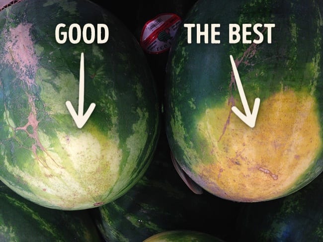 Picking the best watermelon graphic. 