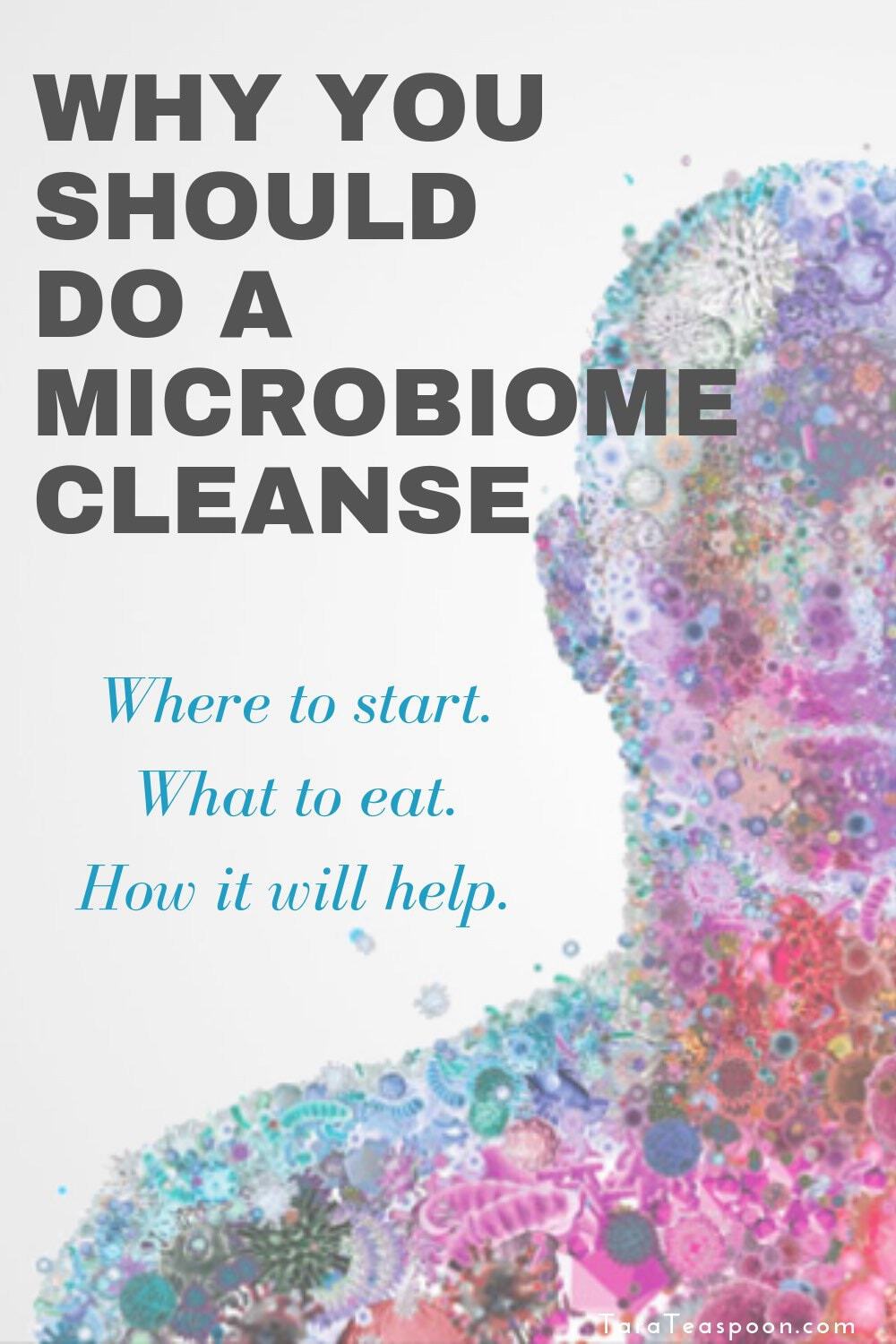 Why you should do a microbiome cleanse