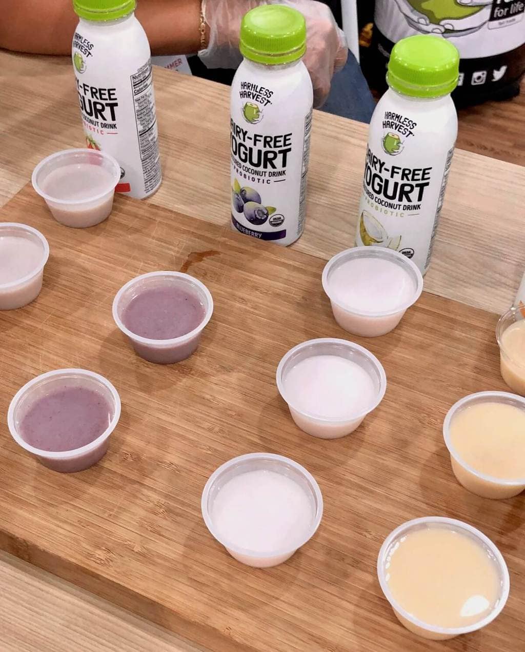 coconut yogurt samples