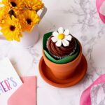 cupcake in mini terra cotta pot