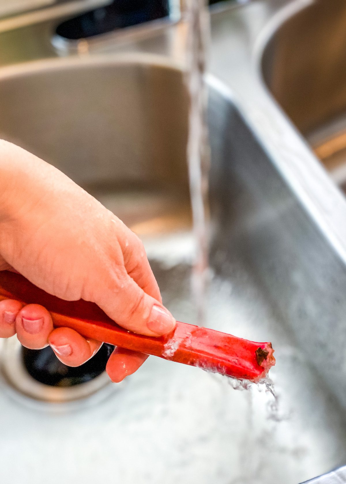 washing rhubarb in a sink