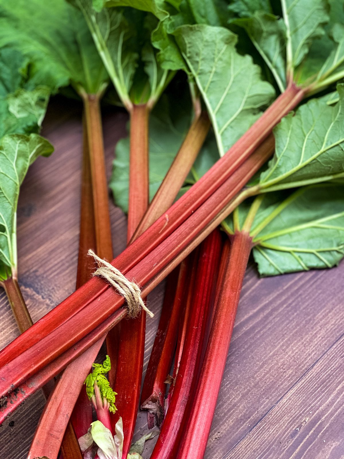 rhubarb on wood table with twine tie