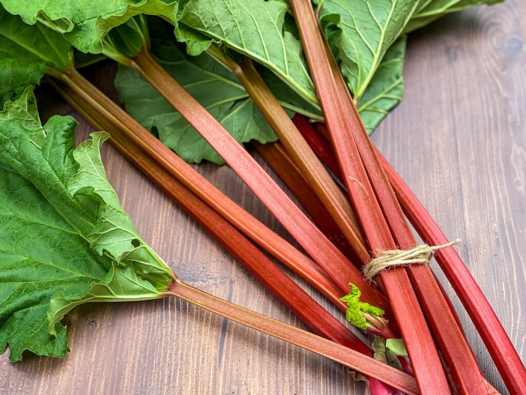 How to Freeze Rhubarb (Quick & Easy!) Tara Teaspoon