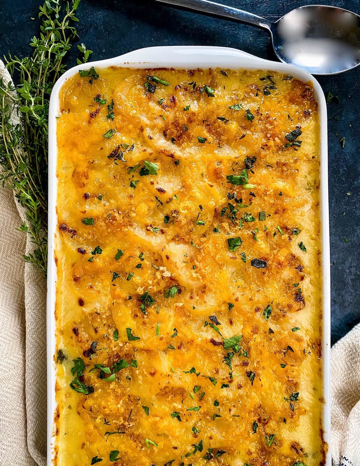 looking down on a cheese potato casserole with herbs