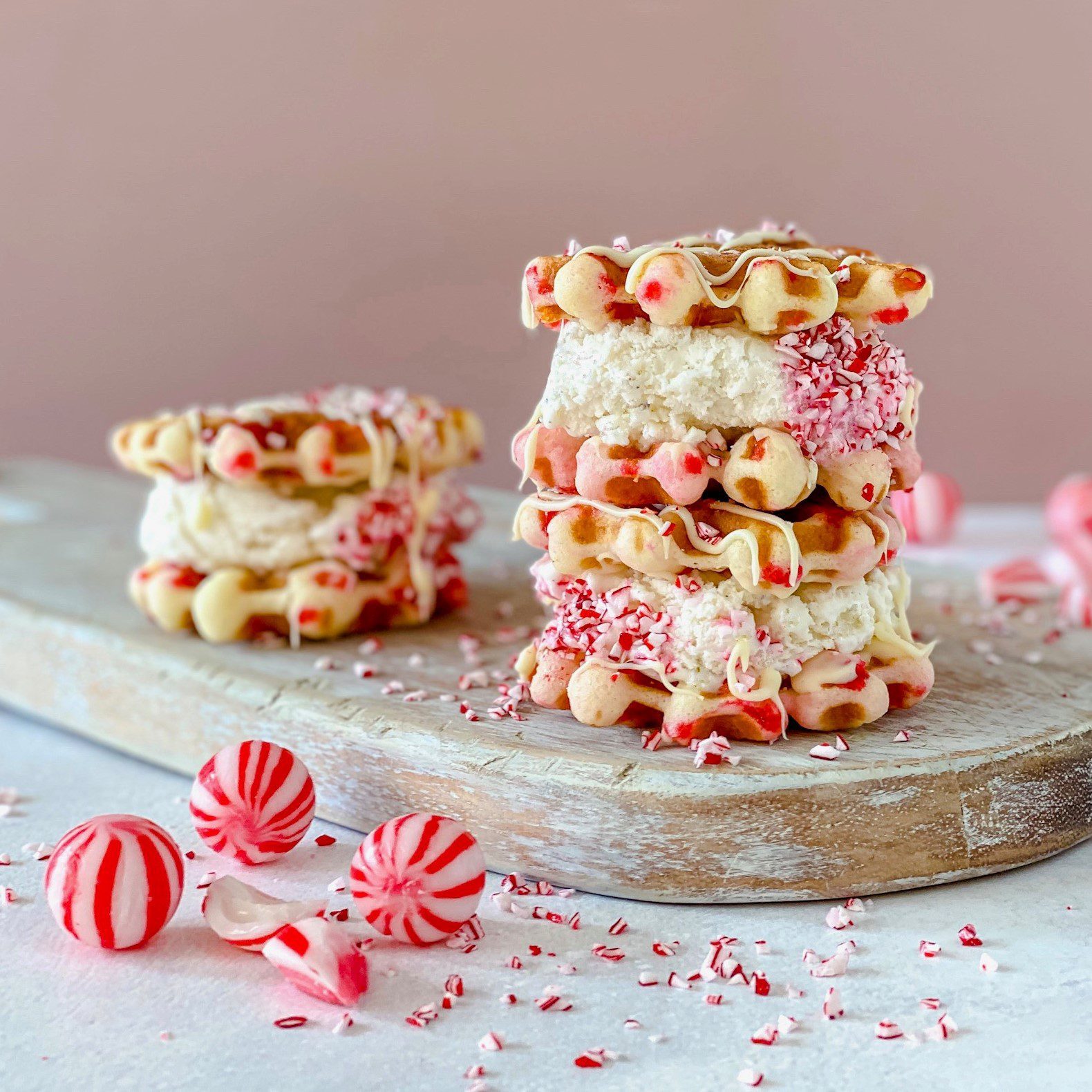 Holiday Ice Cream Sandwich Molds