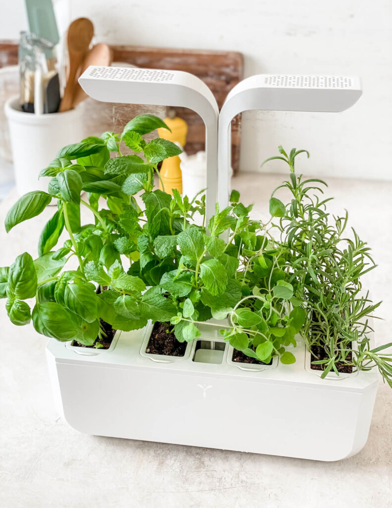 Best Indoor Garden System - Tara Teaspoon