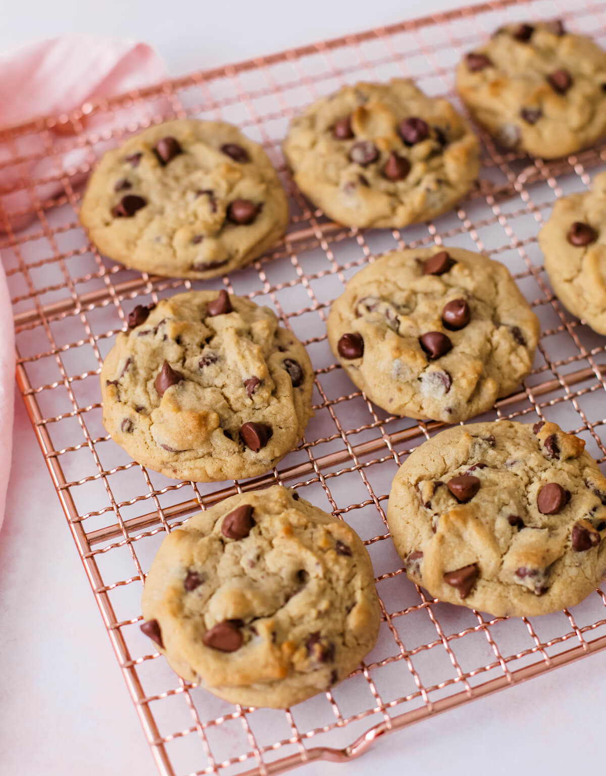 Homemade Chocolate Chip Cookies One Dozen Cheapest Selection