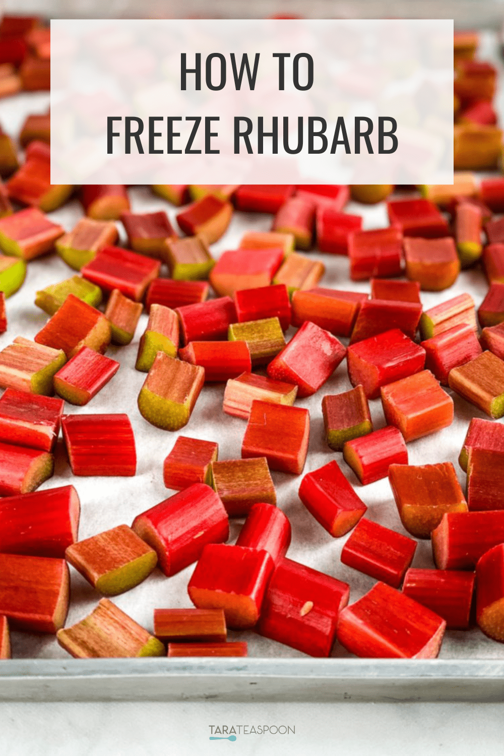 How to Freeze Rhubarb (Quick & Easy!) Tara Teaspoon