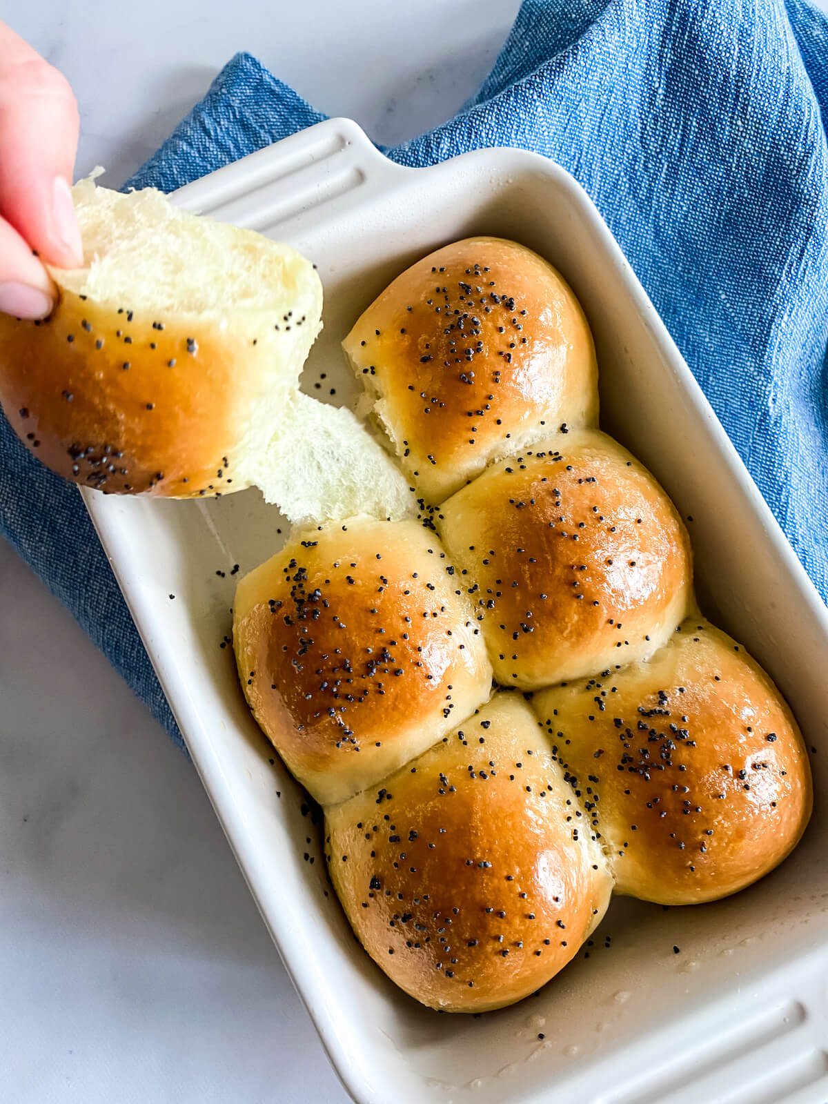 classic dinner rolls topped with poppyseeds