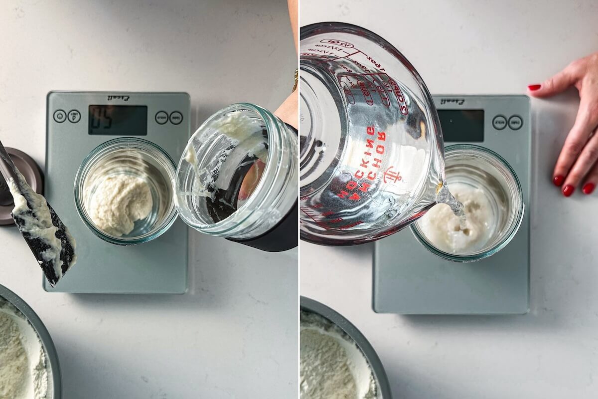 Sourdough starter feeding by weighing and adding water.