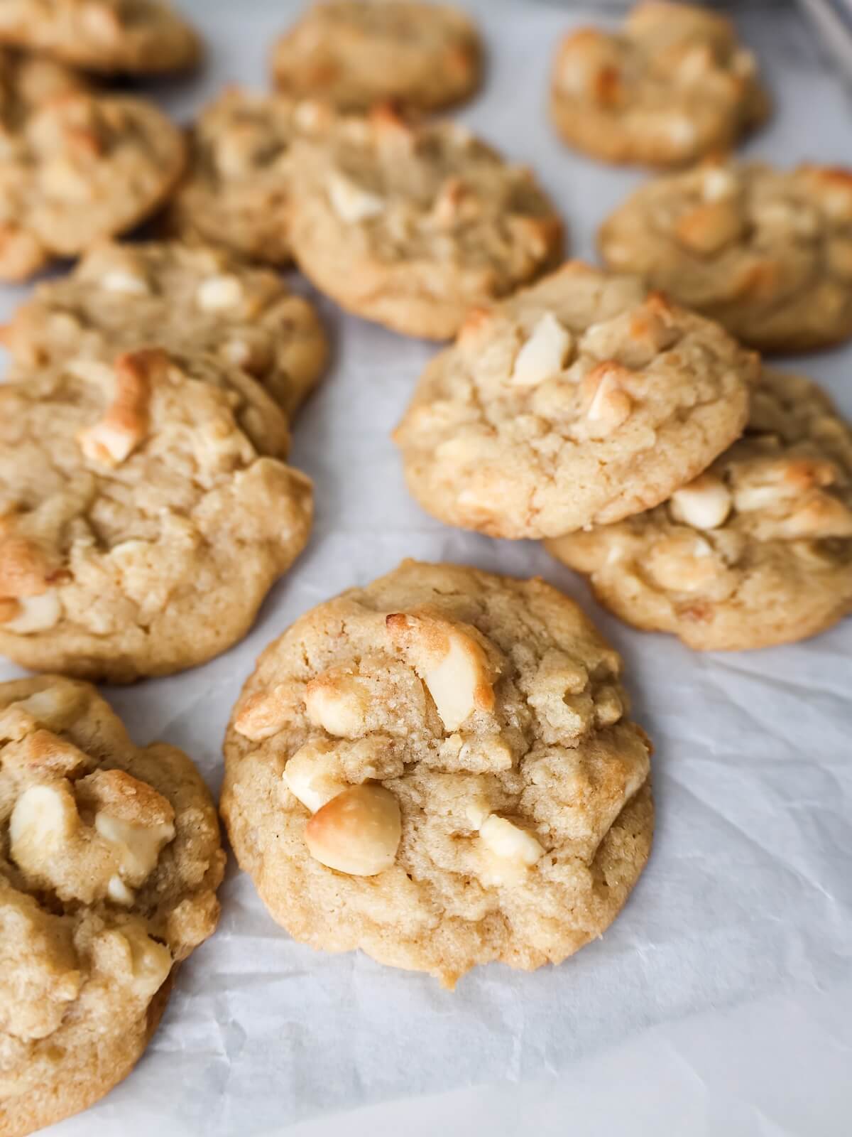 close up of macadamia nut cookies with coconut and white chocolate on parchment paper.