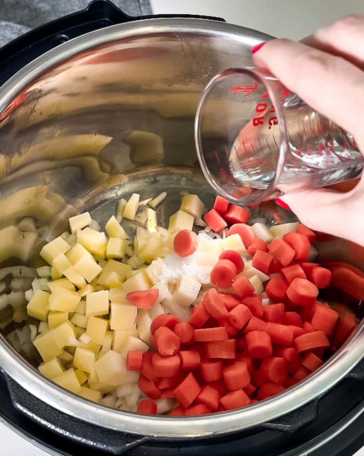 Chopped potatoes, onion, carrot, salt, and water in an Instant Pot.