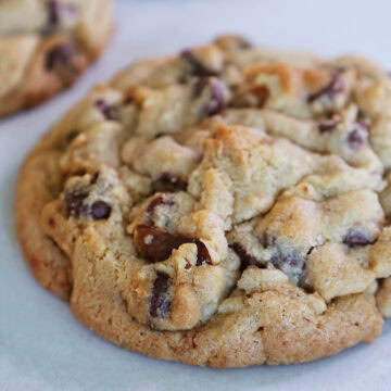 close feature of chocolate chip walnut cookie