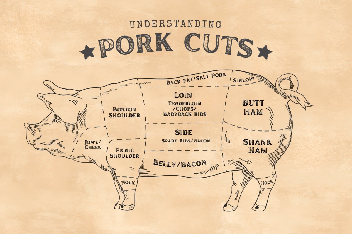 pork cuts graphic on illustration of pig