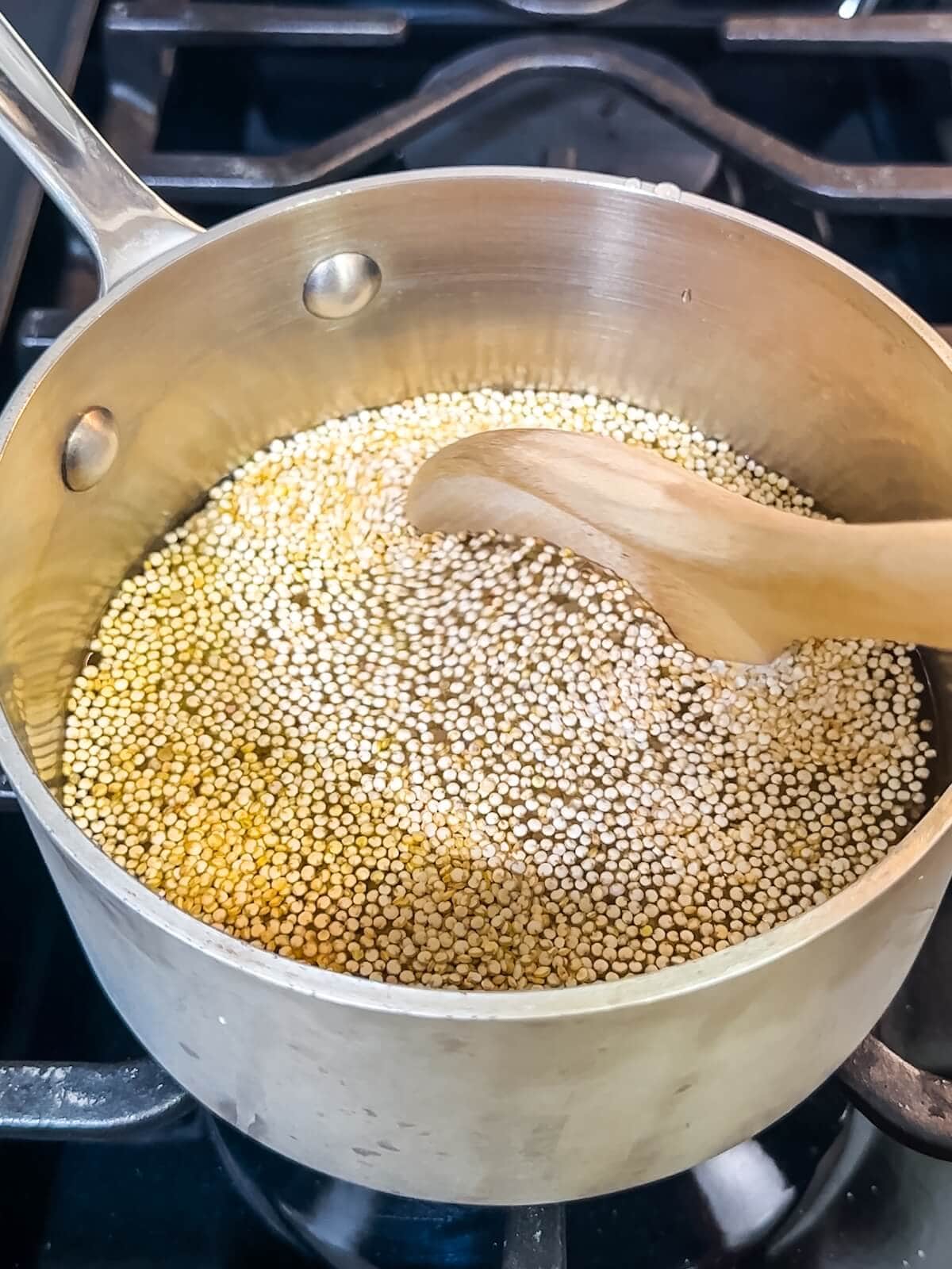 Quinoa, water, and salt in a pot ready to be cooked.