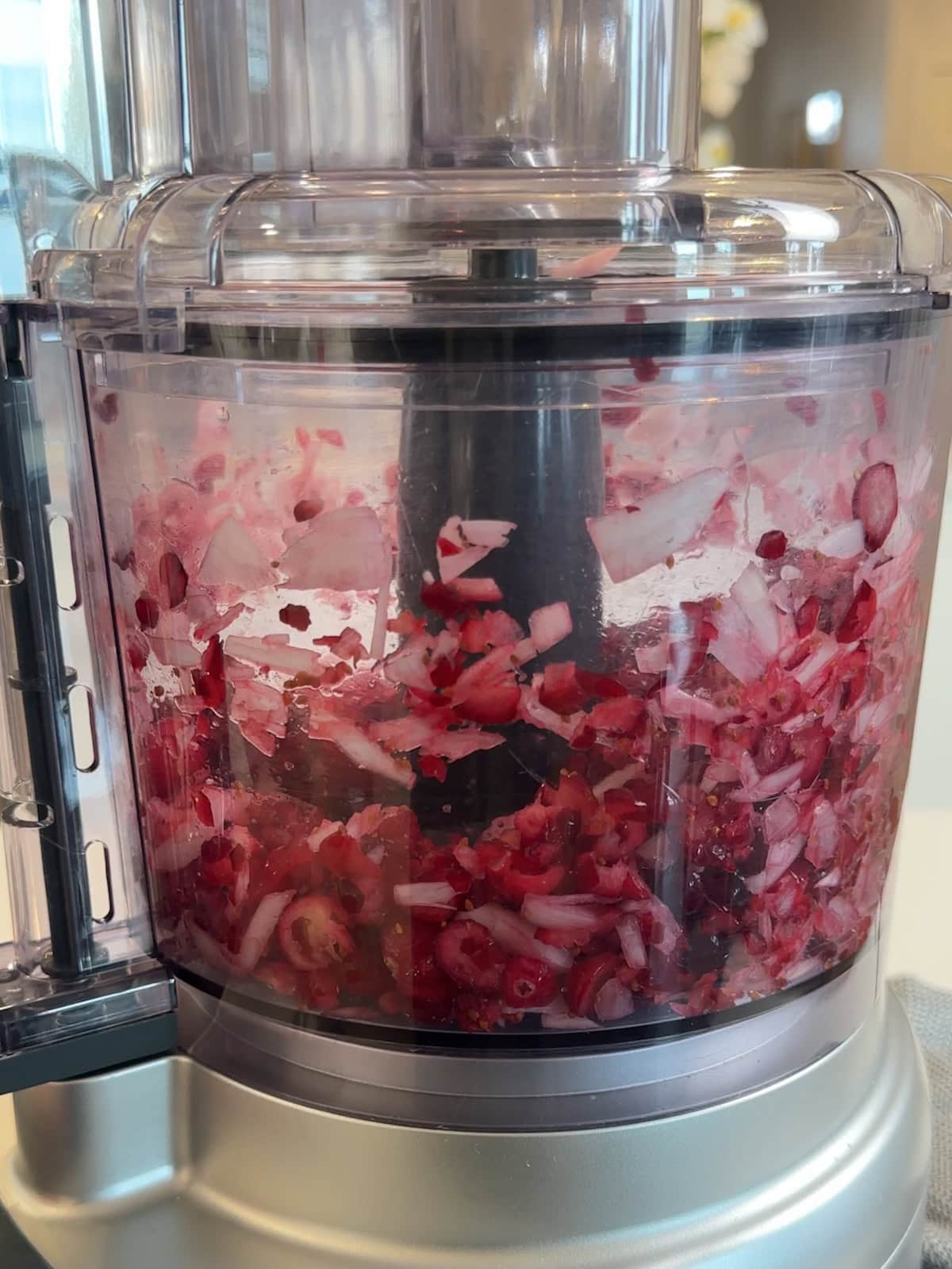 Roughly chopped cranberries and shallots in a food processor.